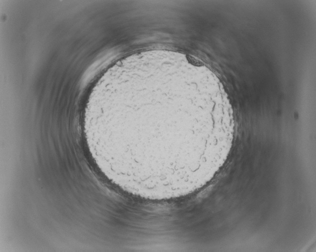 X0000066970245200604211913