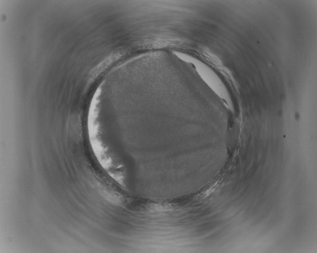 X0000066970250200604211913