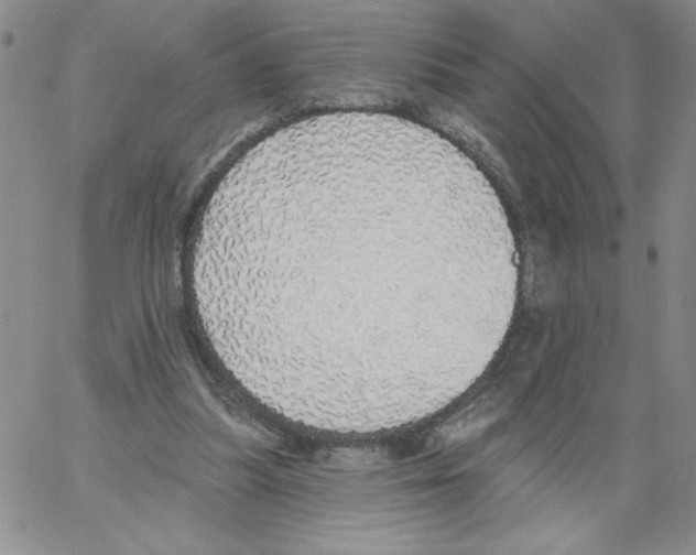 X0000066970251200604211914