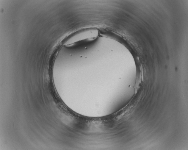 X0000066970252200604211914