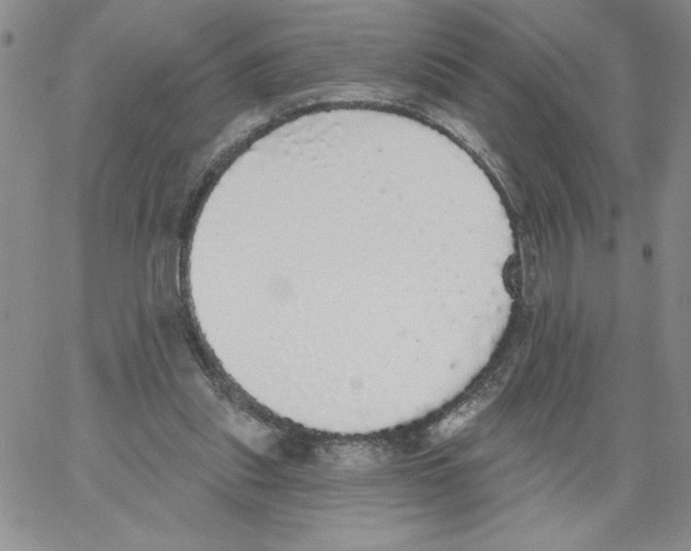 X0000066970253200604211914