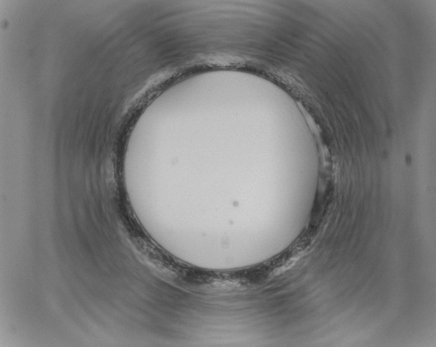 X0000066970256200604211914