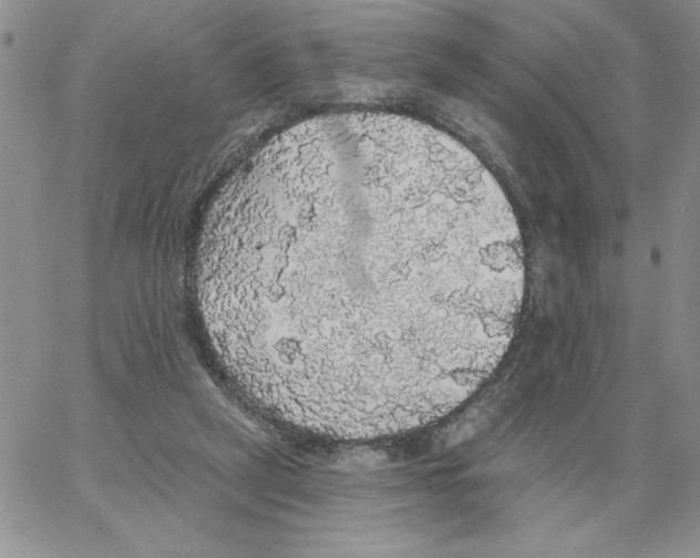 X0000066970257200604211914