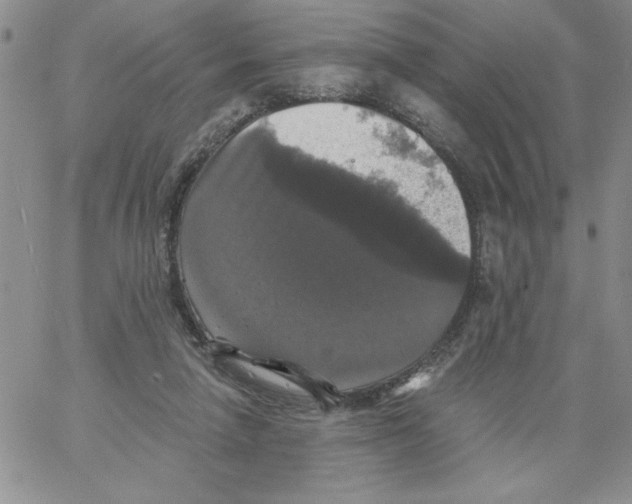 X0000066970258200604211914