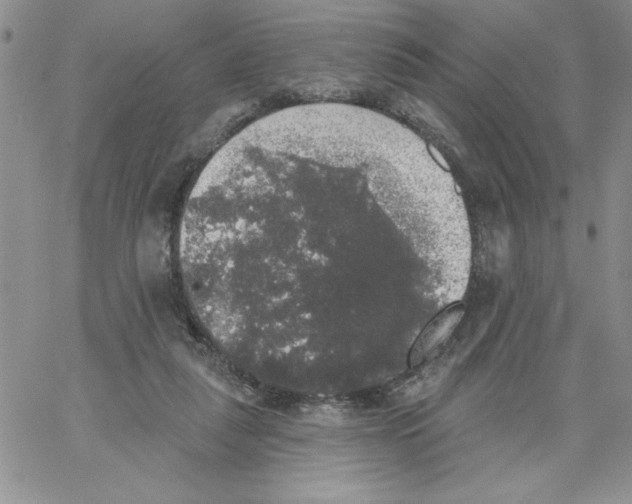 X0000066970259200604211914