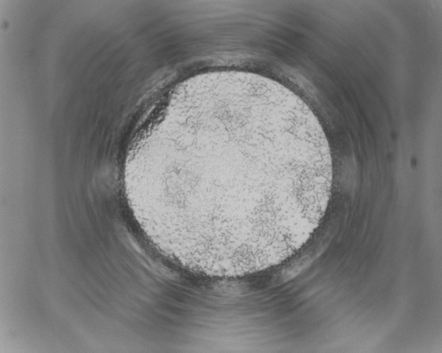 X0000066970261200604211914