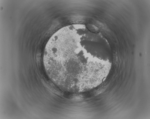 X0000066970263200604211914