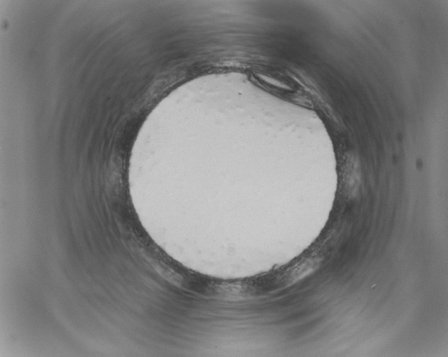 X0000066970265200604211914