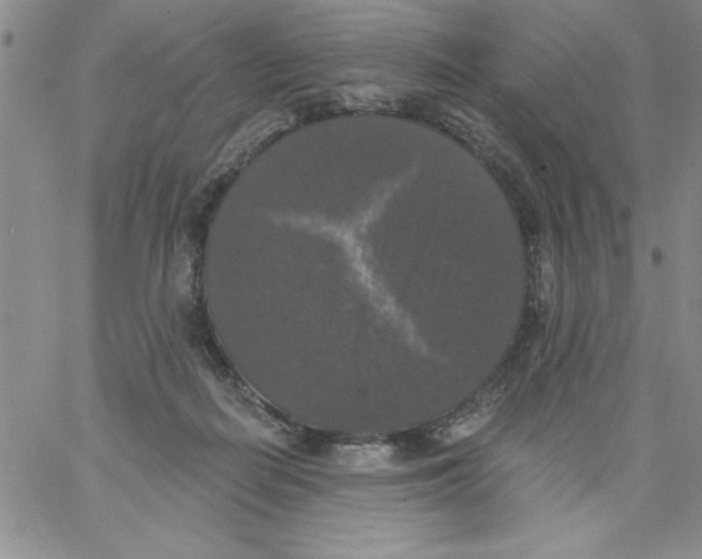 X0000066970266200604211914