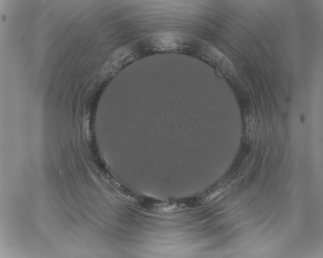 X0000066970267200604211914