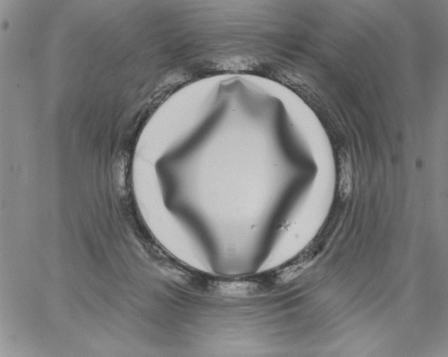 X0000066970268200604211914