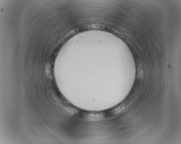 X0000066970270200604211914