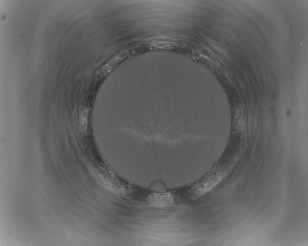 X0000066970271200604211914