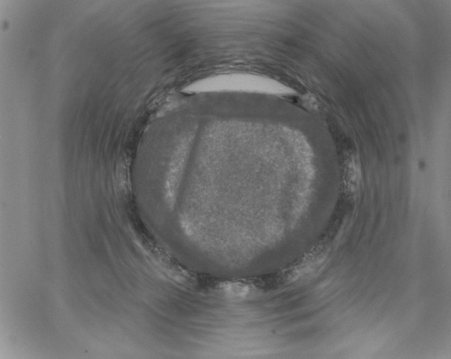 X0000066970272200604211914