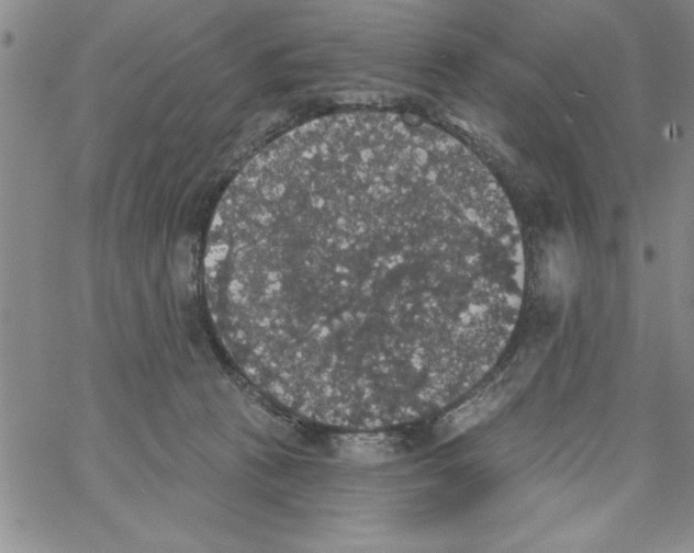 X0000066970273200604211914