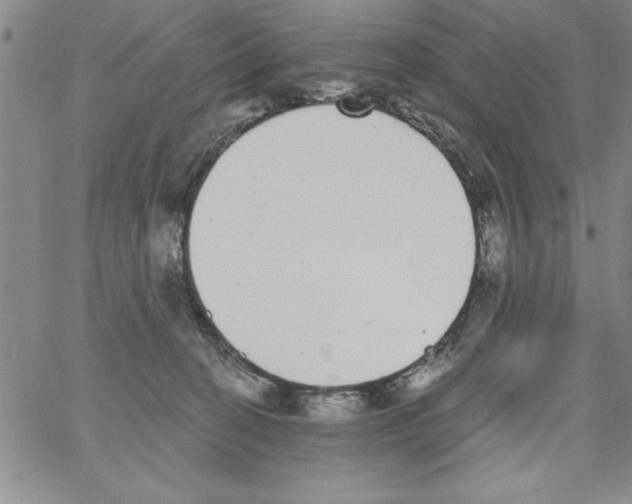 X0000066970274200604211914