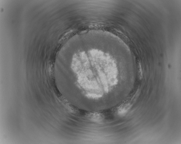 X0000066970276200604211914