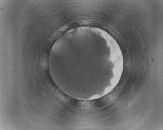 X0000066970277200604211914