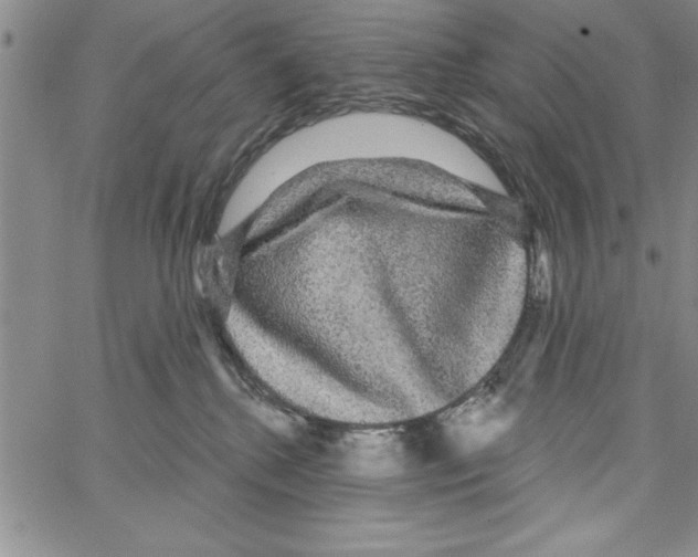 X0000066970280200604211914