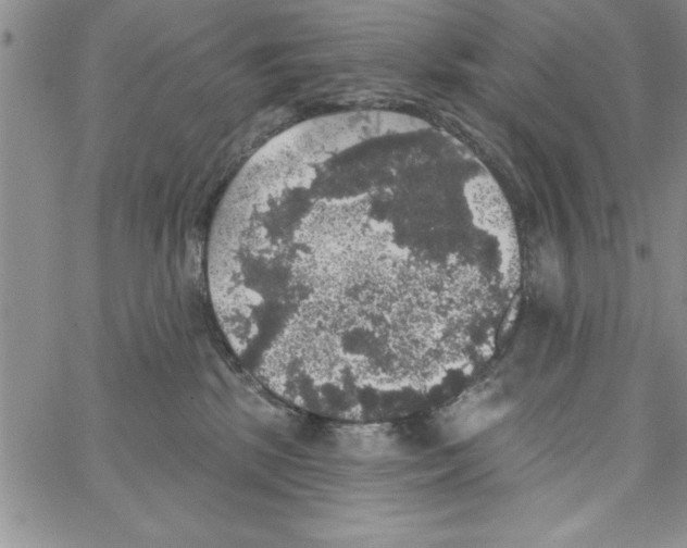 X0000066970281200604211914