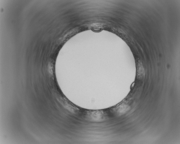 X0000066970282200604211914