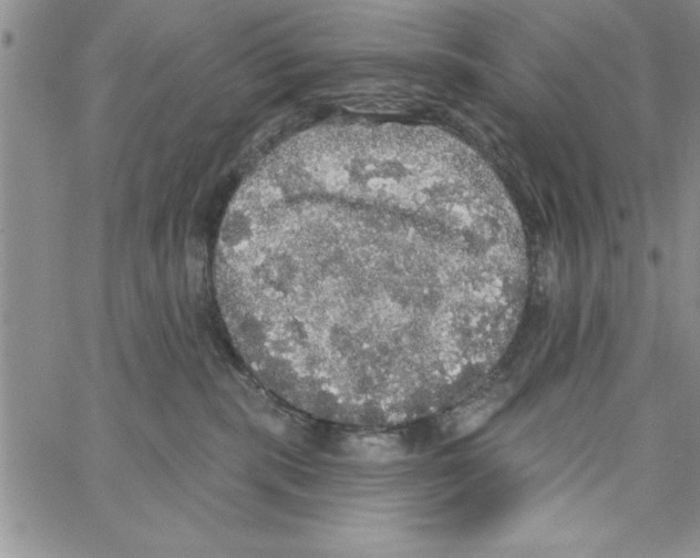 X0000066970283200604211914