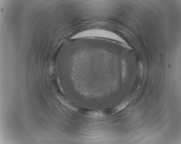 X0000066970284200604211914