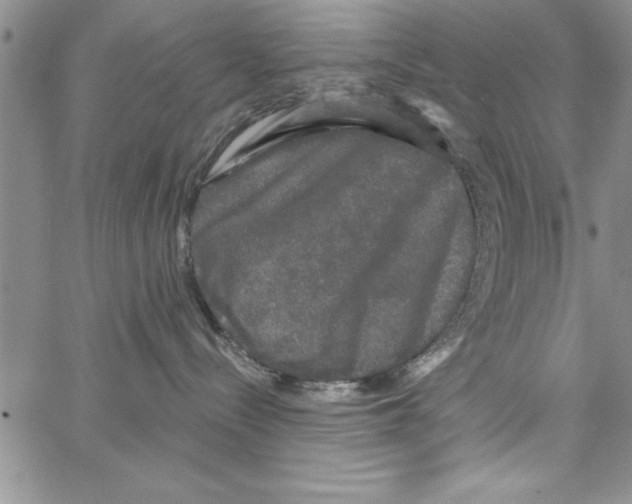 X0000066970288200604211914