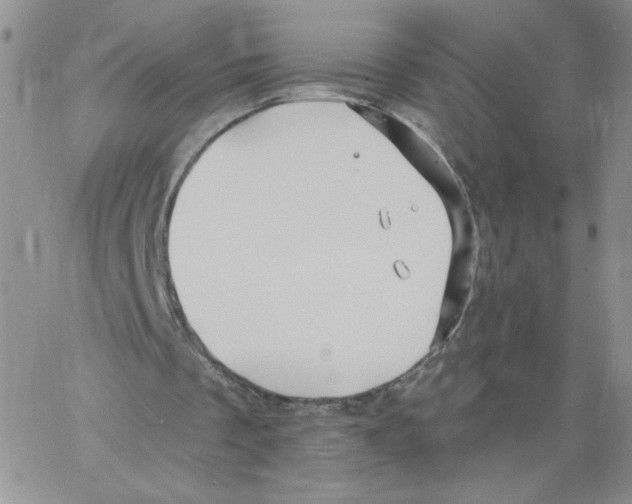 X0000066970289200604211913