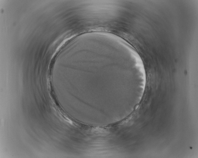 X0000066970290200604211913