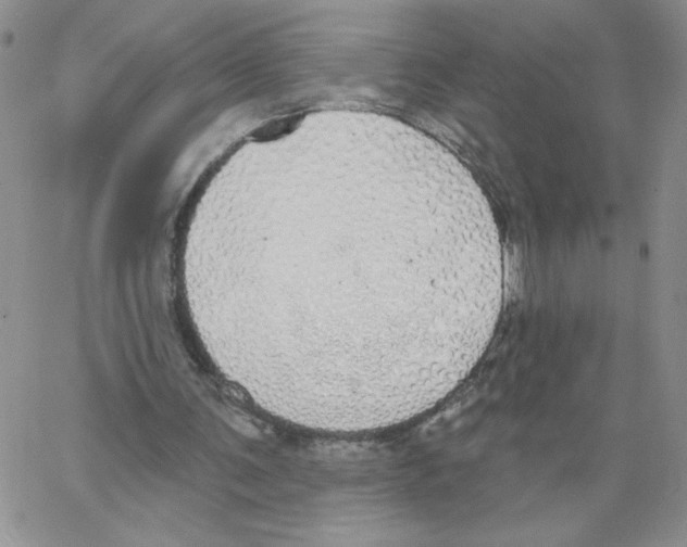 X0000066970291200604211913