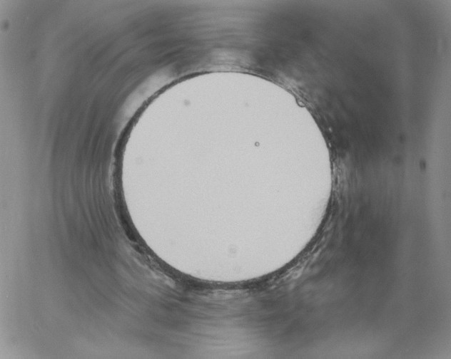 X0000066970292200604211913