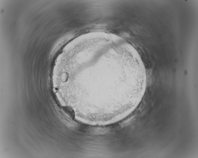 X0000066970293200604211913