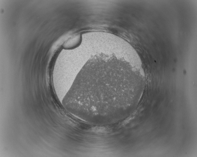 X0000066970294200604211913