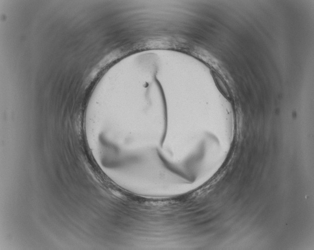 X0000066970297200604211913