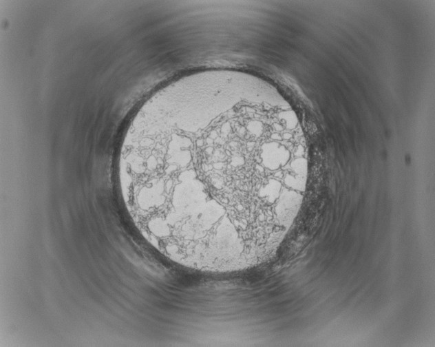 X0000066970299200604211913