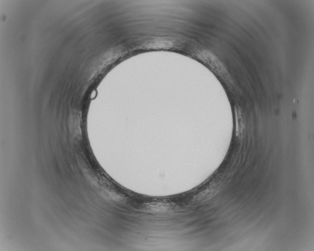 X0000066970300200604211913