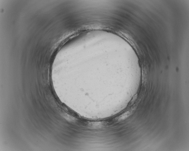 X0000066970301200604211913