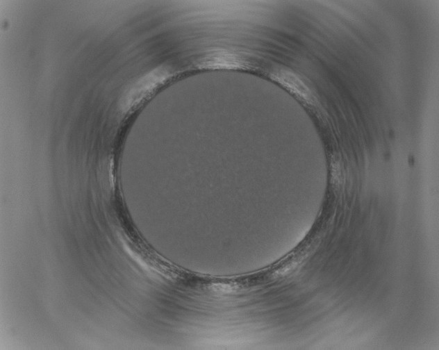 X0000066970302200604211913