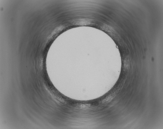 X0000066970304200604211913