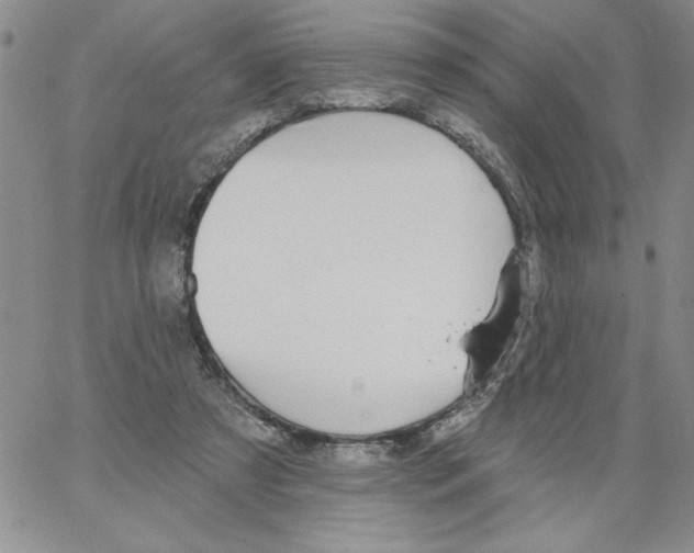 X0000066970305200604211913