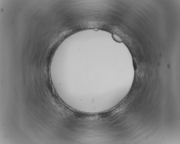 X0000066970306200604211913