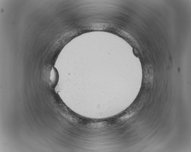 X0000066970307200604211913