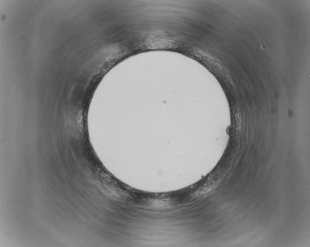 X0000066970308200604211913