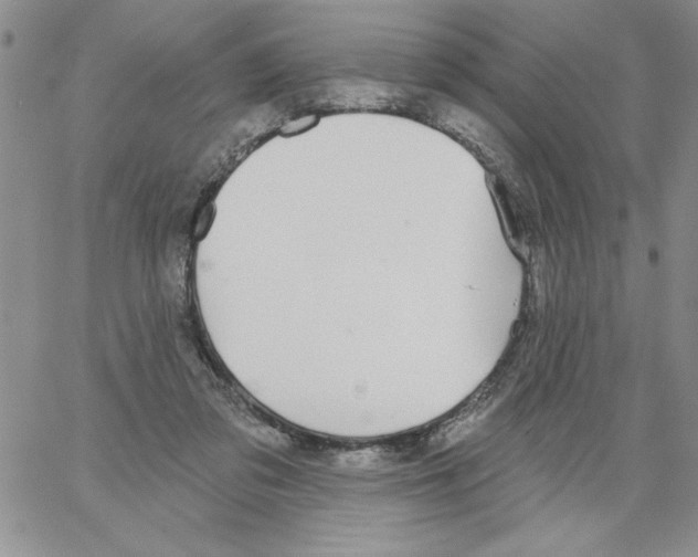 X0000066970309200604211913