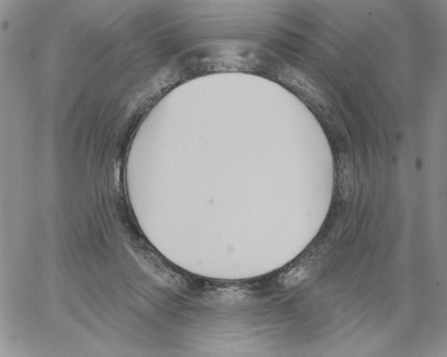 X0000066970310200604211913