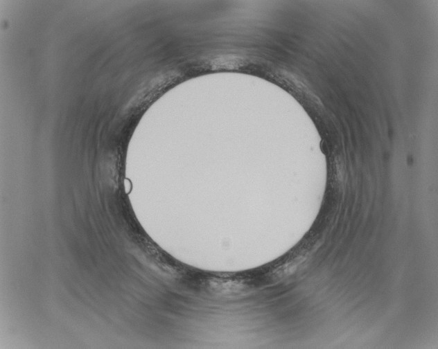 X0000066970311200604211913