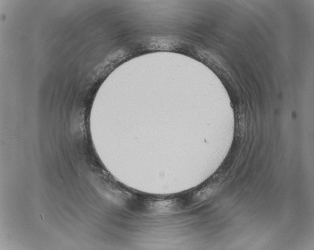 X0000066970312200604211913