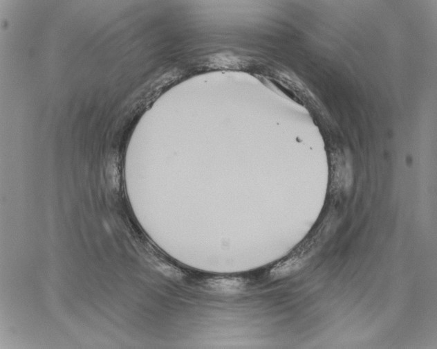 X0000066970313200604211913