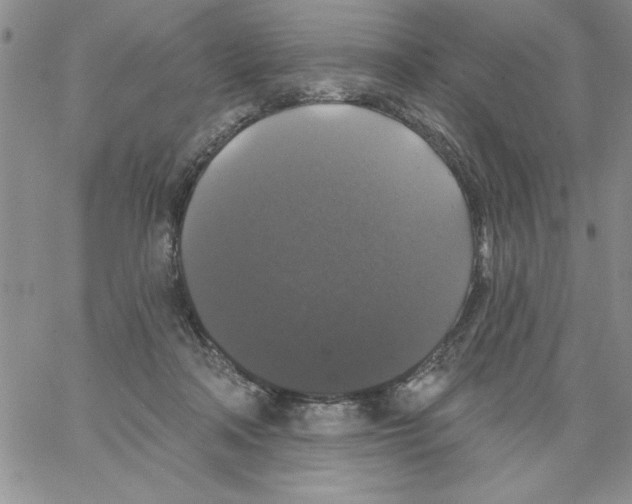 X0000066970314200604211913